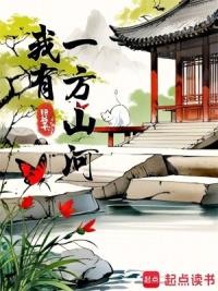 我有一方山河