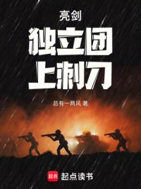 亮剑：从白刃战到钢铁洪流