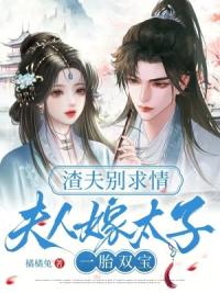 渣夫别求情，夫人嫁太子一胎双宝